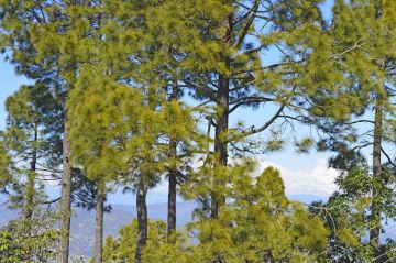 Beautiful Bhimtal Tour Package from Delhi