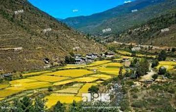 Family Getaway Bhutan Tour Package for 7 Days 6 Nights from Paro