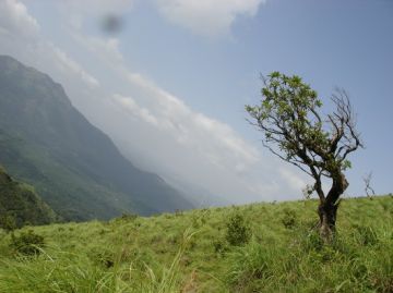 Memorable 4 Days 3 Nights Munnar, Alleppey with Cochin Tour Package