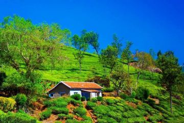 Ecstatic 5 Days 4 Nights Munnar, Thekkady, Alleppey with Cochin Trip Package