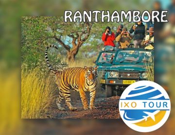 Ranthambore with Jaipur Tour Package for 4 Days 3 Nights from Jaipur