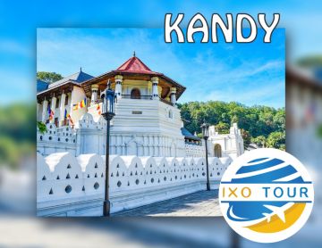 5 Days 4 Nights Colombo to Nuwara-eliya Tour Package