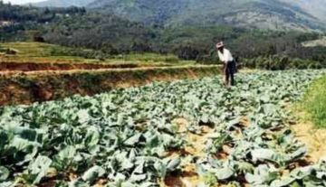 Family Getaway 5 Days Kochi to Munnar Tour Package