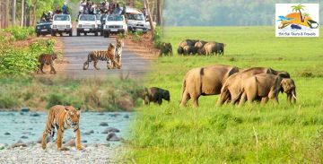 Experience 3 Days 2 Nights New Delhi and Corbett Vacation Package