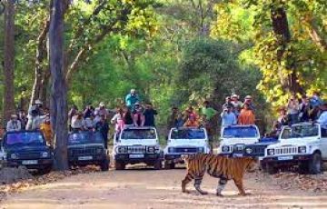 Nagpur, Somnath with Tadoba Tour Package for 3 Days