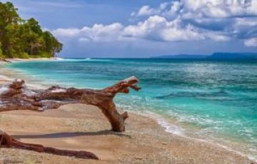 Pleasurable 2 Days Havelock, Radhenagar Beach to Havelock Trip Package