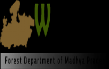 Beautiful Pachmarhi Tour Package for 2 Days 1 Night