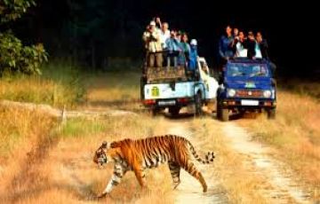 Magical 2 Days 1 Night Nagpur Tour Package