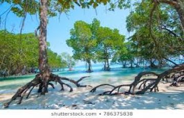 Magical 4 Days 3 Nights Port Blair and Havelock Island Trip Package