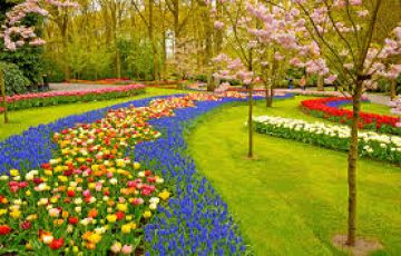 Blessfull Mahabaleshwar Tour Mahabaleshwar Trip Package For 1 Nights 2 Days Inr 2999 00