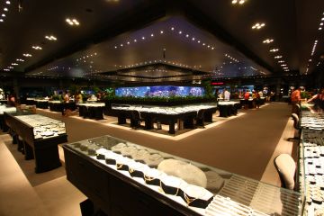 Ecstatic 5 Days Pattaya with Bangkok Vacation Package