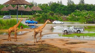 Ecstatic 5 Days Pattaya with Bangkok Vacation Package