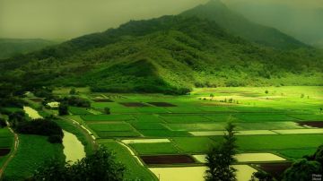 Ecstatic 4 Days Back To Home to Coorg Tour Package