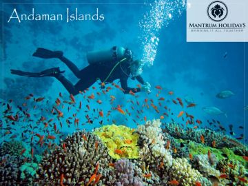 Experience 5 Days 4 Nights Portblair Holiday Package