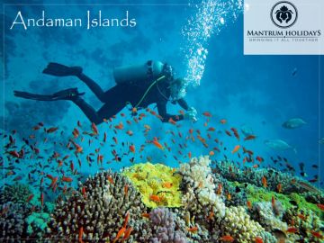 Experience 6 Days PortBlair to Port Blair Vacation Package