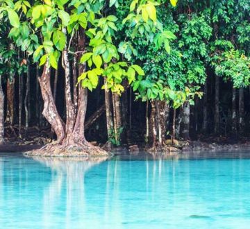 Family Getaway 6 Days Phuket To Krabi Transfer Tour Package