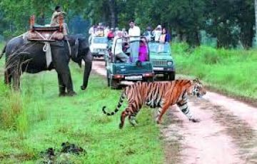 Pleasurable 5 Days Nagpur to Pench Tour Package
