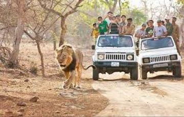 Pleasurable 5 Days Nagpur to Pench Tour Package