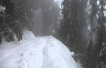 Best Dalhousie Tour Package for 3 Days