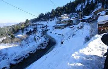 Beautiful 2 Days 1 Night Shimla with Back To Home Tour Package