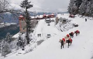 Magical 5 Days 4 Nights Day 04 - Manali Local  Solang Vally  Via Cab  Vacation Package