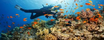 Family Getaway 6 Days 5 Nights North Bay Island Holiday Package