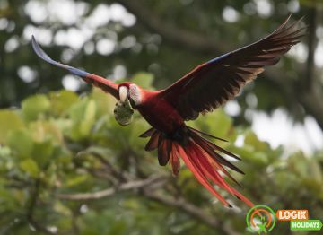 Beautiful 11 Days Mumbai, Lonavala with Khandala Tour Package