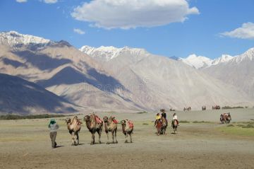 Family Getaway Nubra Tour Package for 6 Days 5 Nights from Leh