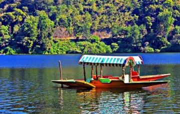 Memorable 6 Days Kochi to Thekkady Trip Package