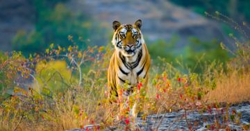 3 Days 2 Nights Nagpur Tour Package