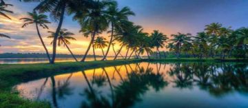 Magical 4 Days 3 Nights Munnar with Alleppey Holiday Package