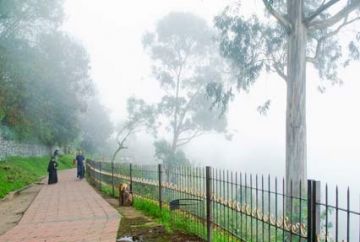 Bangalore Mysore Coorg Ooty Kodaikanal Tour Package 10 Days