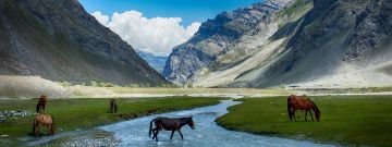 Experience 5 Days 4 Nights Leh Tour Package by Shivay Travels And Services