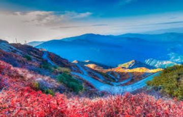 Pleasurable Gangtok Tour Package for 6 Days