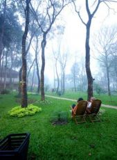 Amazing 6 Days Munnar, Thekkady with Alleppey Tour Package