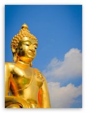 Ecstatic 5 Days Bangkok to Pattaya Holiday Package