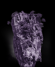 5 Days Pattaya and Bangkok Tour Package