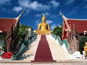 Magical 5 Days 4 Nights Pattaya Tour Package