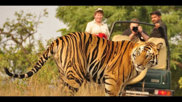 Beautiful 3 Days Delhi to Jim Corbett Holiday Package