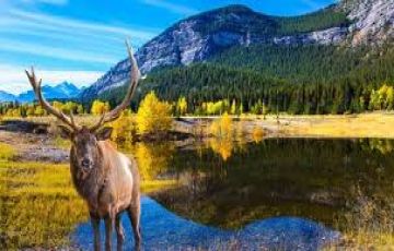 11 Days Banff to Whistler Tour Package