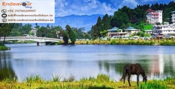 DARJEELING MIRIK KALIMPONG LAVA RISHOP TOUR 6 NIGHT 7 DAY TRIP