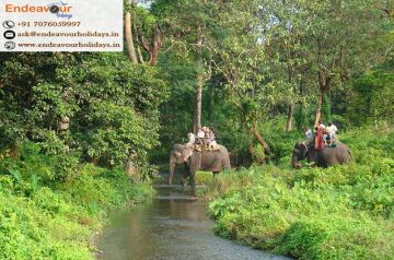 LATAGURI GORUMARA RESERVE FOREST DARJEELING SILIGURI TOUR