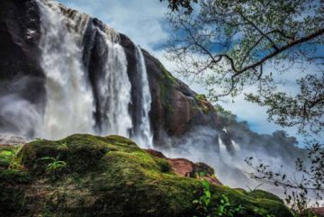 Beautiful Thekkady Tour Package from Kochi