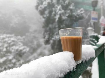 Pleasurable Shimla Tour Package for 14 Days 13 Nights from Delhi Airport