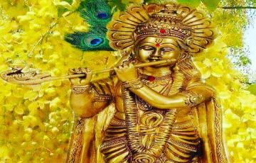 Amazing 4 Days 3 Nights Rohtang Pass Trip Package