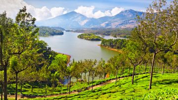 Ecstatic Thekkady Tour Package for 5 Days from Cochin