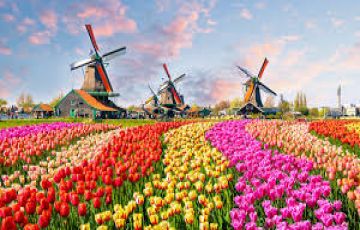 Ecstatic 7 Days Amsterdam Area to Rotterdam Trip Package