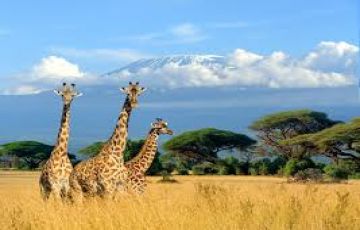 5 Days 4 Nights Kenya Tour Package