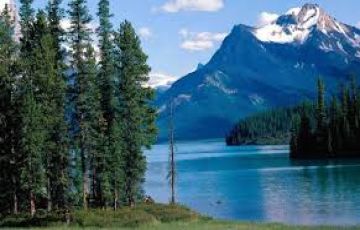 Heart-warming 4 Days Delhi - Kausani - Nainital Trip Package