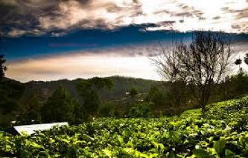 Family Getaway Delhi - Nainital - Kausani - Corbett Tour Package for 5 Days 4 Nights